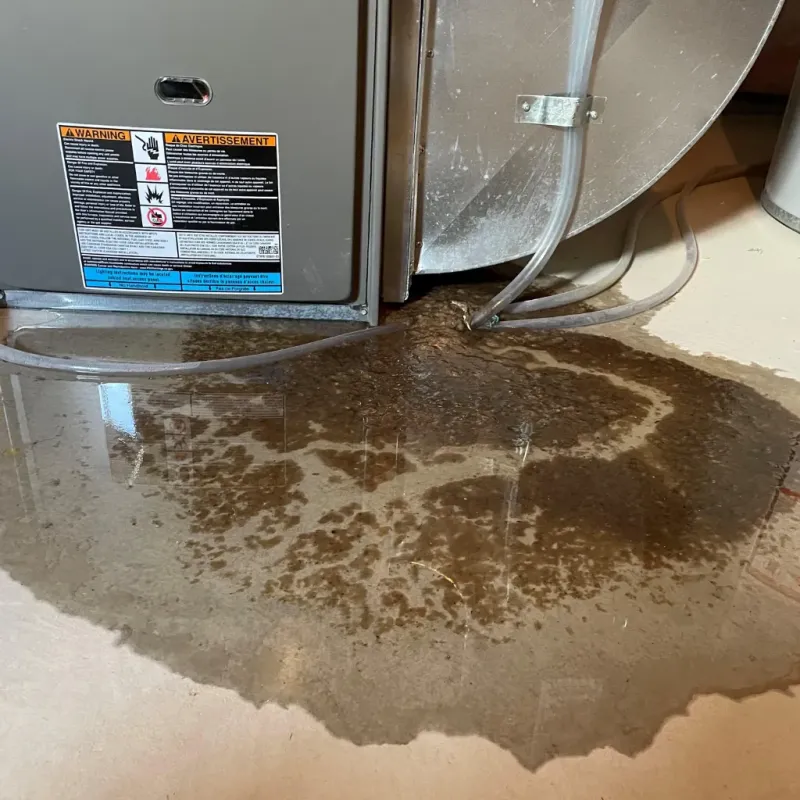 Appliance Leak Cleanup in Menomonie, WI